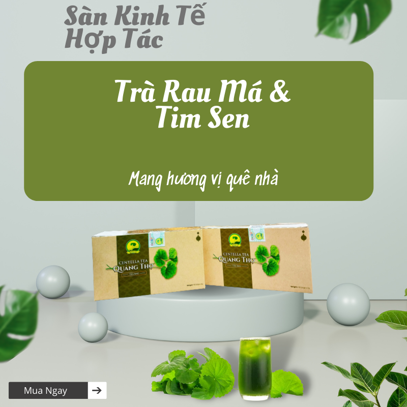 Ảnh của Trà rau má tim sen Quảng Thọ 60g (hộp 30 gói X 2g)