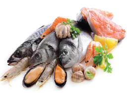 Ảnh cho danh mục Thuỷ sản